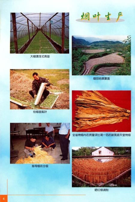 《怀化烟草志》.pdf电子版_湖南省志插图5 《怀化烟草志》.pdf电子版_湖南省志插图5