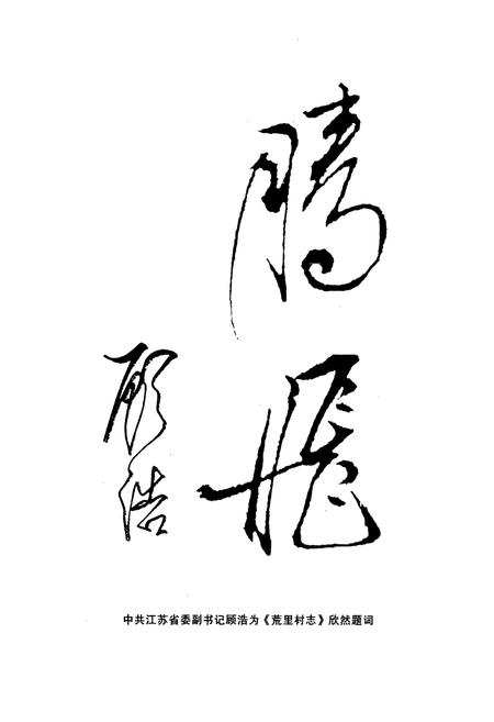 《荒里村志(1588-1998)》.pdf电子版_江苏省志插图3 《荒里村志(1588-1998)》.pdf电子版_江苏省志插图3