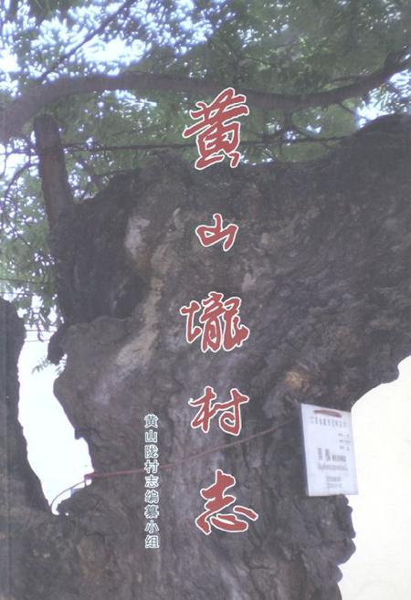 《黄山垅村志》.pdf电子版_江苏省志插图 《黄山垅村志》.pdf电子版_江苏省志插图