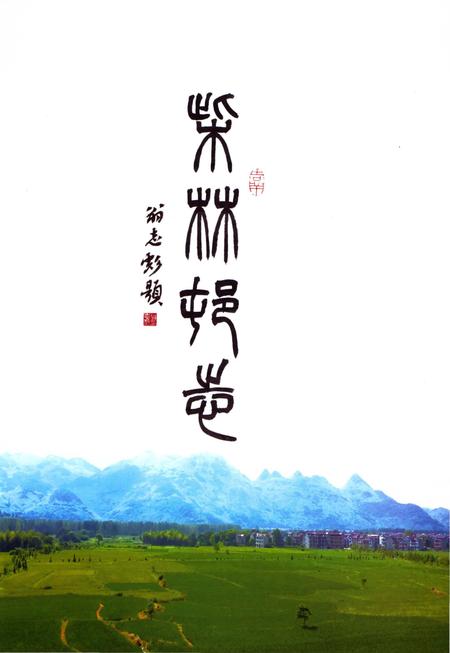 《弋阳县柴林村志》.pdf电子版_江西省志插图2 《弋阳县柴林村志》.pdf电子版_江西省志插图2