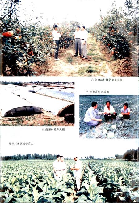 《昌图县三江口镇志》.pdf电子版_辽宁省志插图4