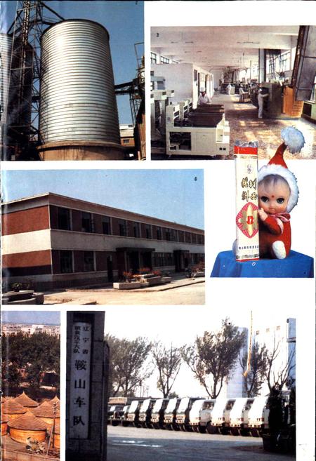 《鞍山市粮食志》.pdf电子版_辽宁省志插图4 《鞍山市粮食志》.pdf电子版_辽宁省志插图4