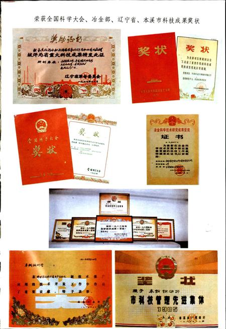 《本钢钢铁研究所志》.pdf电子版_辽宁省志插图5 《本钢钢铁研究所志》.pdf电子版_辽宁省志插图5