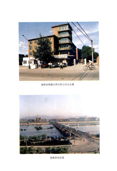 《抚顺市供销合作社志》.pdf电子版_辽宁省志插图4