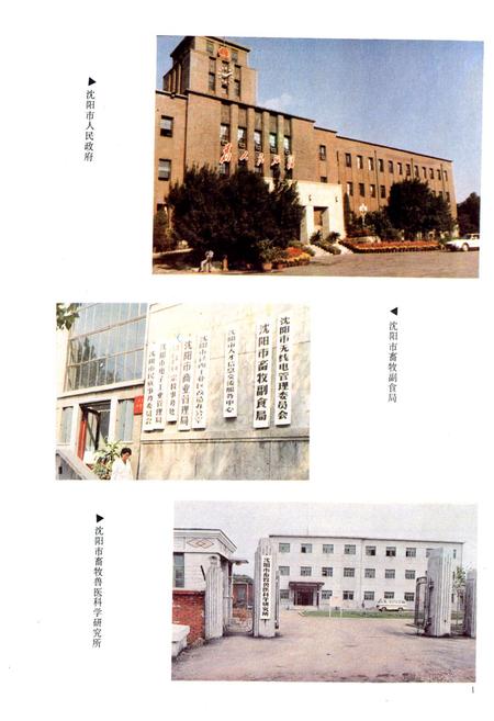 《沈阳市畜牧业志第一卷(1905-1985)》.pdf电子版_辽宁省志插图2