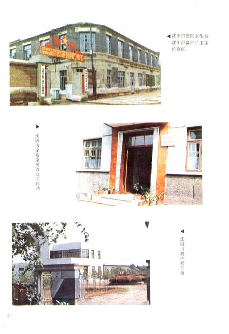 《沈阳市畜牧业志第一卷(1905-1985)》.pdf电子版_辽宁省志插图3