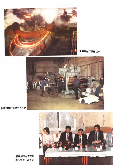 《沈阳冶金工业志(1933-1985)》.pdf电子版_辽宁省志插图5 《沈阳冶金工业志(1933-1985)》.pdf电子版_辽宁省志插图5