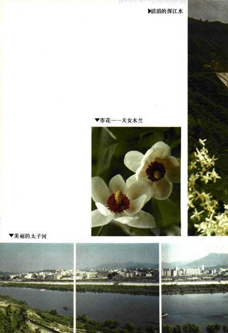 《《本溪市水利志(1132-1990)》》.pdf电子版_辽宁省志插图4