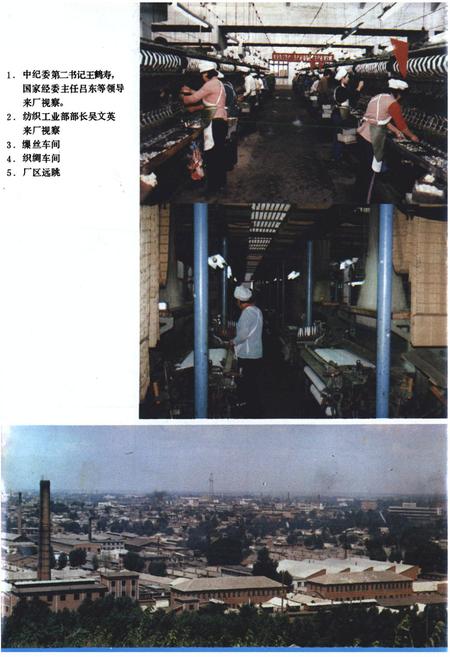 《海城丝绸厂志(1950-1985)》.pdf电子版_辽宁省志插图4