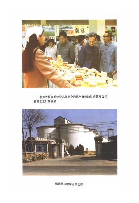《锦州市粮食志》.pdf电子版_辽宁省志插图4