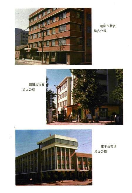 《朝阳市场物资志》.pdf电子版_辽宁省志插图2