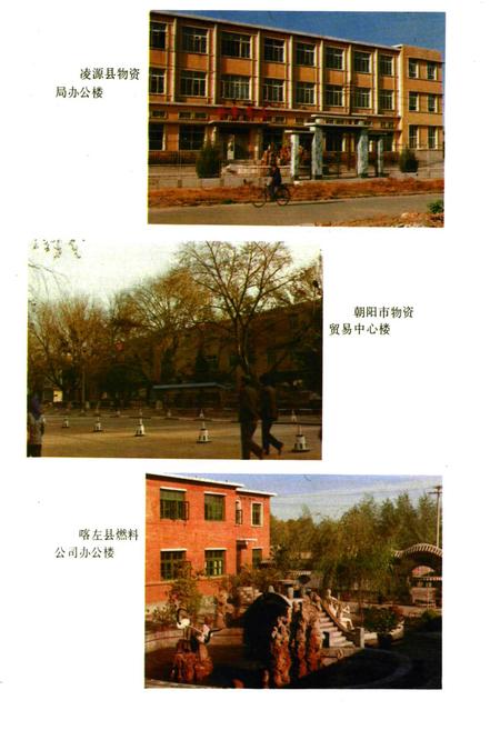 《朝阳市场物资志》.pdf电子版_辽宁省志插图3