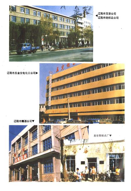 《辽阳市商业志》.pdf电子版_辽宁省志插图5 《辽阳市商业志》.pdf电子版_辽宁省志插图5