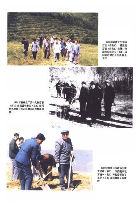 《盖州市林业志》.pdf电子版_辽宁省志插图3 《盖州市林业志》.pdf电子版_辽宁省志插图3