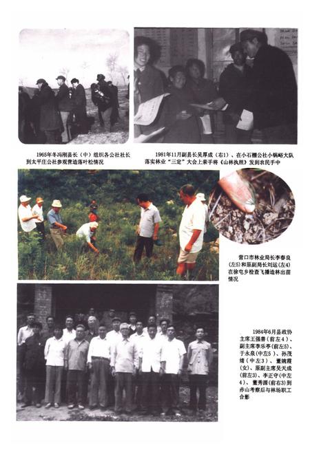 《盖州市林业志》.pdf电子版_辽宁省志插图5 《盖州市林业志》.pdf电子版_辽宁省志插图5