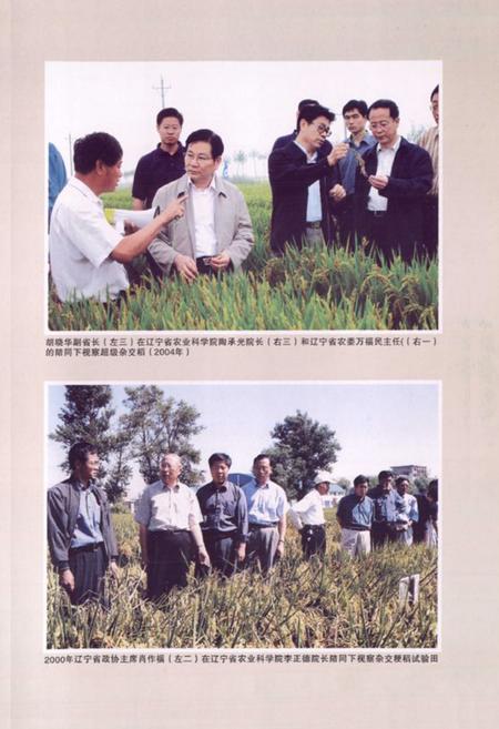 《《稻作研究所所志(1956-2005)》》.pdf电子版_辽宁省志插图3