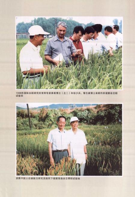 《《稻作研究所所志(1956-2005)》》.pdf电子版_辽宁省志插图4