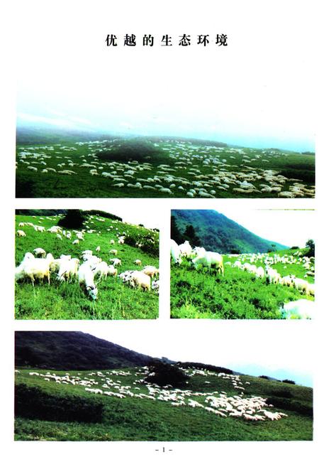《《辽宁绒山羊育种志》(1980-2008)》.pdf电子版_辽宁省志插图2 《《辽宁绒山羊育种志》(1980-2008)》.pdf电子版_辽宁省志插图2