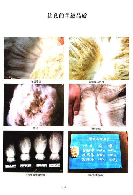 《《辽宁绒山羊育种志》(1980-2008)》.pdf电子版_辽宁省志插图5 《《辽宁绒山羊育种志》(1980-2008)》.pdf电子版_辽宁省志插图5