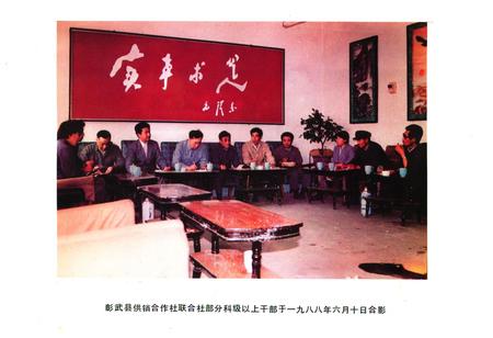 《《彰武县供销合作志》(1949-1985)》.pdf电子版_辽宁省志插图4