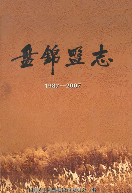 《盘锦盟志(1987-2007)》.pdf电子版_辽宁省志