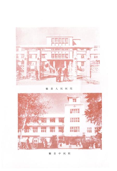 《锦县卫生志(1852-1985)》.pdf电子版_辽宁省志插图3