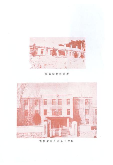 《锦县卫生志(1852-1985)》.pdf电子版_辽宁省志插图5
