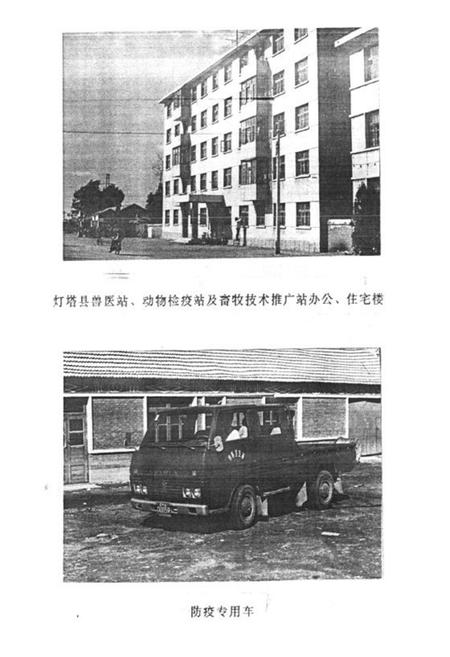 《《灯塔县畜禽疫病志(1949-1989)》》.pdf电子版_辽宁省志插图4