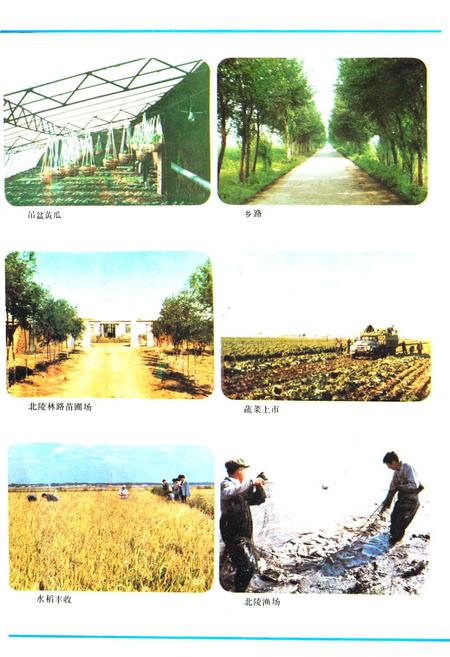 《《北陵乡志》》.pdf电子版_辽宁省志插图4