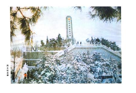 《本溪市民政志(第二卷)(1978-2000)》.pdf电子版_辽宁省志预览图2