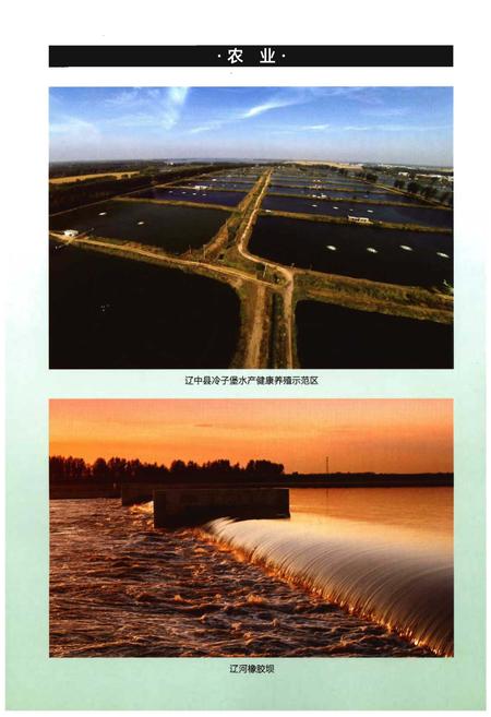 《辽中县志(1986-2005)》.pdf电子版_辽宁省志插图5