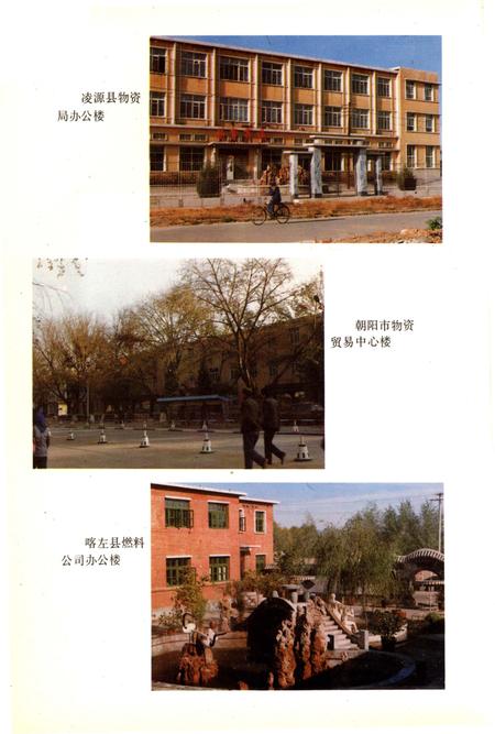 《朝阳市物资志》.pdf电子版_辽宁省志插图4 《朝阳市物资志》.pdf电子版_辽宁省志插图4