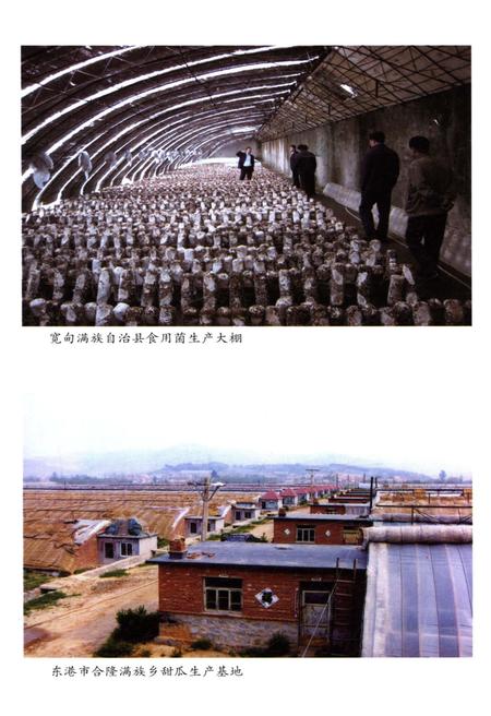 《丹东满族续志》.pdf电子版_辽宁省志插图5