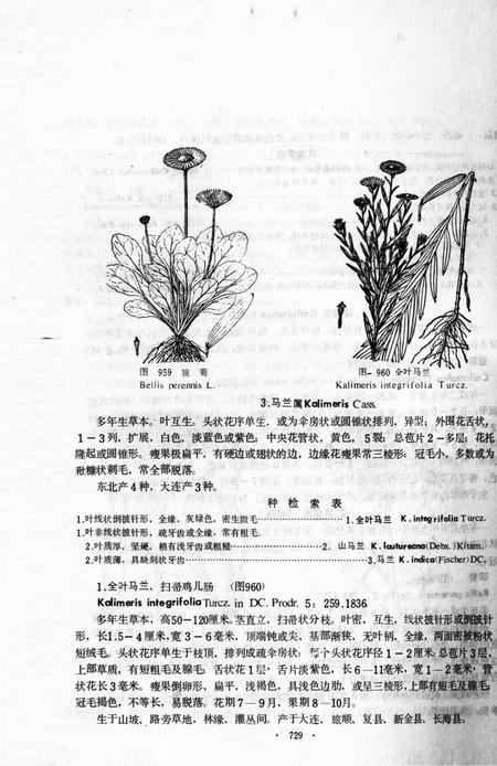《大连地区植物志  下册》.pdf电子版_辽宁省志预览图5