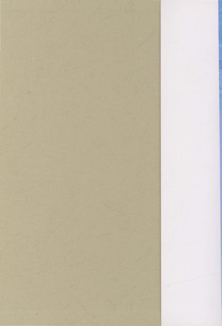 《朝阳市人民政府志》.pdf电子版_辽宁省志预览图1