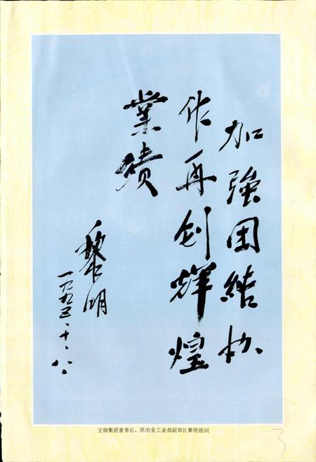 《中国二十冶志》.pdf电子版_其他志插图4