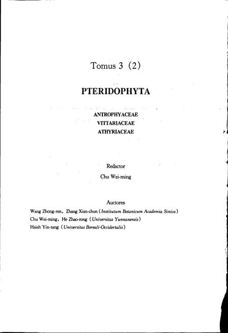 《中国植物志第三卷第二分册》.pdf电子版_其他志插图4 《中国植物志第三卷第二分册》.pdf电子版_其他志插图4