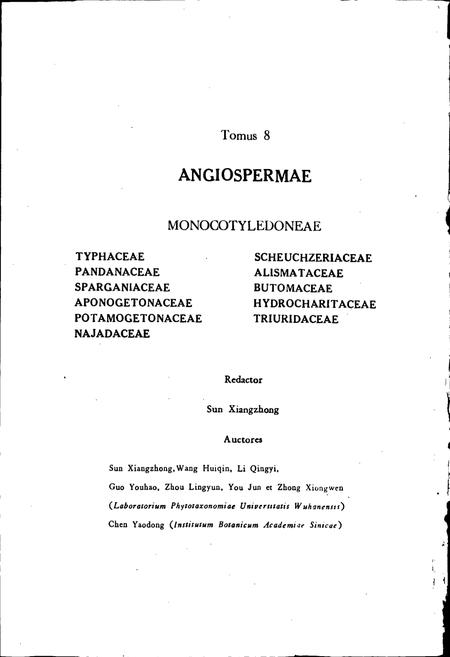 《中国植物志第八卷》.pdf电子版_其他志插图4 《中国植物志第八卷》.pdf电子版_其他志插图4