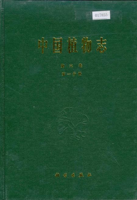 《中国植物志第六卷第一分册》.pdf电子版_其他志插图 《中国植物志第六卷第一分册》.pdf电子版_其他志插图