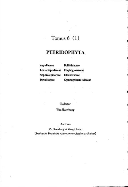 《中国植物志第六卷第一分册》.pdf电子版_其他志插图4 《中国植物志第六卷第一分册》.pdf电子版_其他志插图4