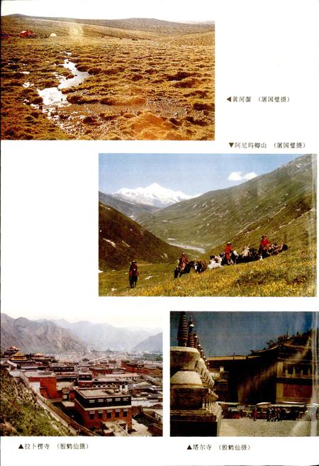 《黄河志卷十一 黄河人文志》.pdf电子版_其他志插图4