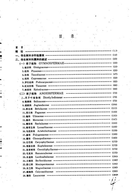 《华北树木志》.pdf电子版_其他志插图4 《华北树木志》.pdf电子版_其他志插图4