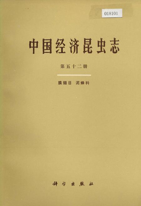 《中国经济昆虫志 第五十二册 膜翅目 泥蜂科》.pdf电子版_其他志插图