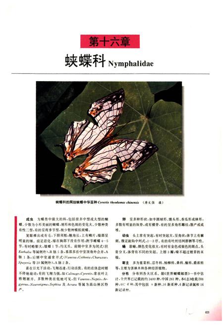 《中国蝶类志(下册)》.pdf电子版_其他志插图2 《中国蝶类志(下册)》.pdf电子版_其他志插图2