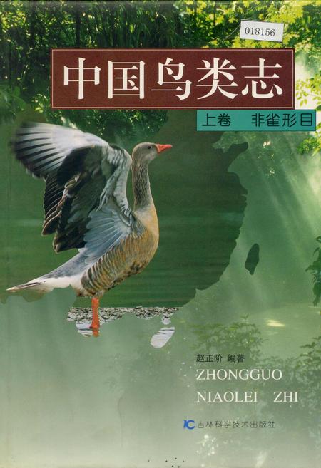 《中国鸟类志 上卷 非雀形目》.pdf电子版_其他志插图 《中国鸟类志 上卷 非雀形目》.pdf电子版_其他志插图