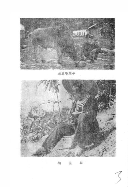 《毛南族风俗志》.pdf电子版_其他志插图5
