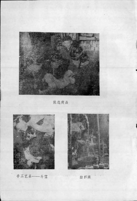 《畲族风俗志》.pdf电子版_其他志插图4