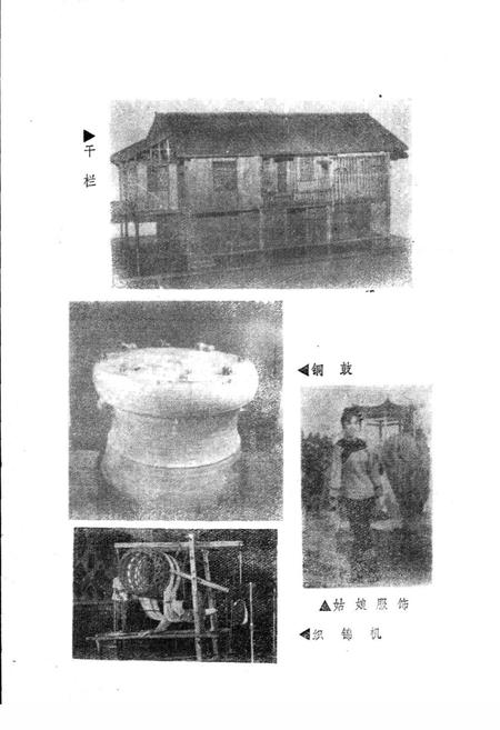 《壮族风俗志》.pdf电子版_其他志插图3