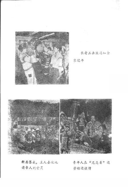 《基诺族风俗志》.pdf电子版_其他志插图3