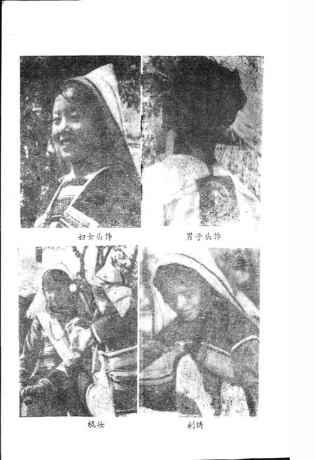 《基诺族风俗志》.pdf电子版_其他志插图5
